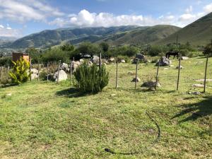 Finca Elena de Troya