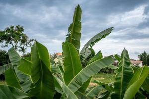 Villa Amara by Unicorn Villas Bali