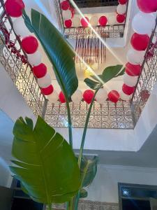 Red Vibes Hostel Marrakech