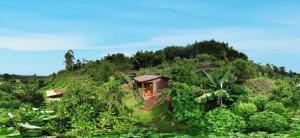 Tesorito House en las Montañas del Quindío