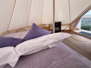 Glamping Rincón de Lavanda