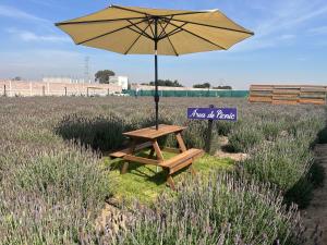 Glamping Rincón de Lavanda