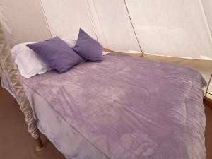 Glamping Rincón de Lavanda