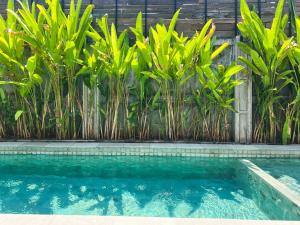 The Lavana Allena Living Bali