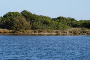 Apposentu - Happy Rentals img35