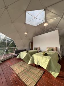 Shapaja Glamping