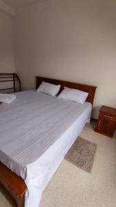 10 BR Apartments - Galle City