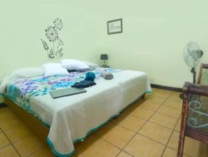 Airport Nest Costa Rica Hotel