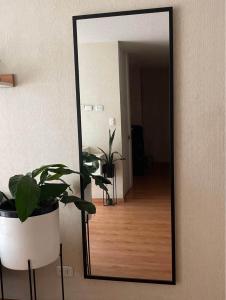 Acogedora habitación