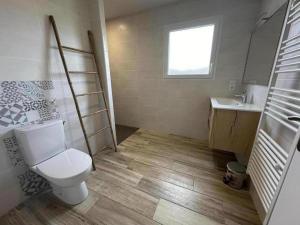 Les oiseaux de paradis