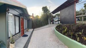 Dreams of Golden Wings