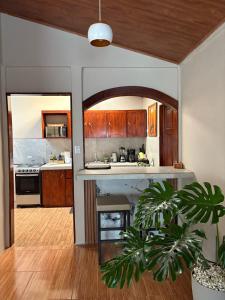 Dreams of Golden Wings