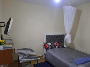 Humble Homes studio apartment Thika Town CBD access to Netflix,wifi and views