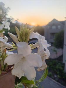 LErmitage Villa Francois