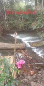 รักษ์ธาร โฮมสเตย์