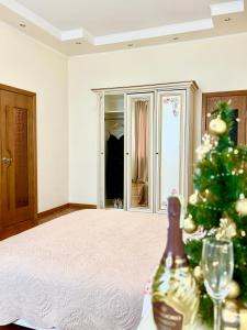 Видова квартира з двомістним Джакузі BUSSINES