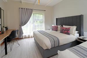 The Chameleon Stay @107