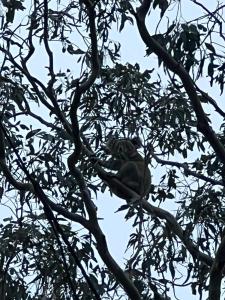 Tintenbar Riverfront Farmstay 2 by Tiny Away