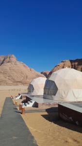 Panorama bubble camp