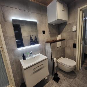 Cozy studio with a wood burning sauna