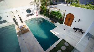 Balimmo 2 Bedrooms Oasis Haven Villa