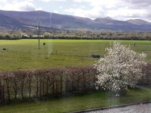 Cosy cottage with amazing views of the Galtees