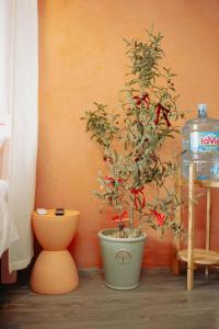 M Maison- Stay chill in District 1