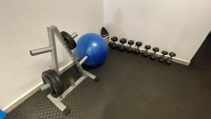 Luxurious & Central Princesses