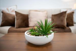 Airstay - Upgraded Studio - Near Pool & Metro - Monthly Offer Available!