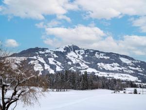 Ferienhaus Penningdörfl