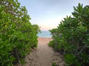 Riviera Ocean Breeze