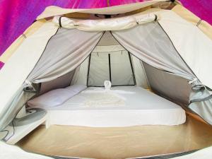 TENT inside Villa Milanel Port Barton