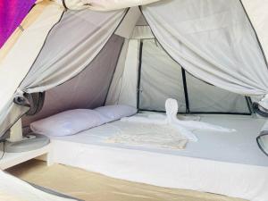 TENT inside Villa Milanel Port Barton