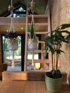 Domaine de Hurlevent - Tiny House petite maison écologique