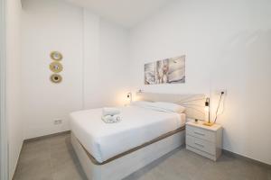 Cosy studio near AVE station