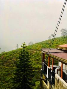 Top view cottage