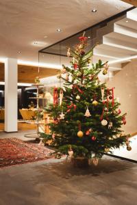 Historic Hotel Alte Goste