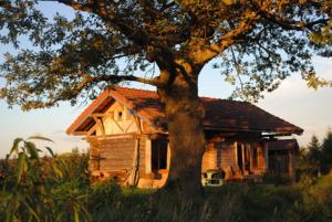 Camping et Gîtes Brenazet