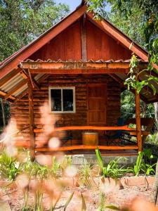 Pepee mini cafe ปีปีมินิ คาเฟ่ &โฮมสเตย์