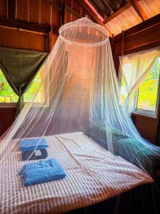 Pepee mini cafe ปีปีมินิ คาเฟ่ &โฮมสเตย์