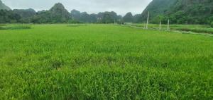 Trang An Moon Garden