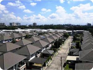 Warm Family of Three