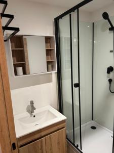 Beautiful comfortable apartment - Geneva