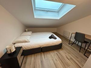 Beautiful comfortable apartment - Geneva