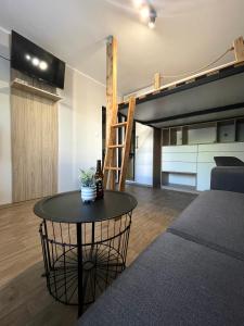 Apartment Mini flat Old town