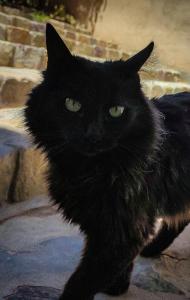 Escalera de piedra 2