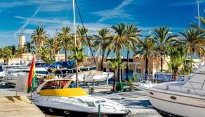 ViVi Homes - Sultana Gym, Pool, Terrace & Sea View