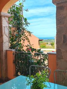 Appartamento RENZO con terrazza Vista Mare img16