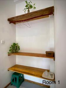 Bird garden Midigama