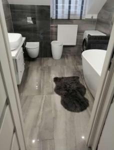 Apartament przestronny wysoki standard